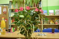 /album/a18-lat-kropki/dsc-0012-jpg/